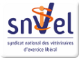 logo snvel